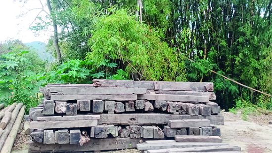 Antigo material da ponte Hercílio Luz vai ter utilidade no Jardim Botânico de Florianópolis