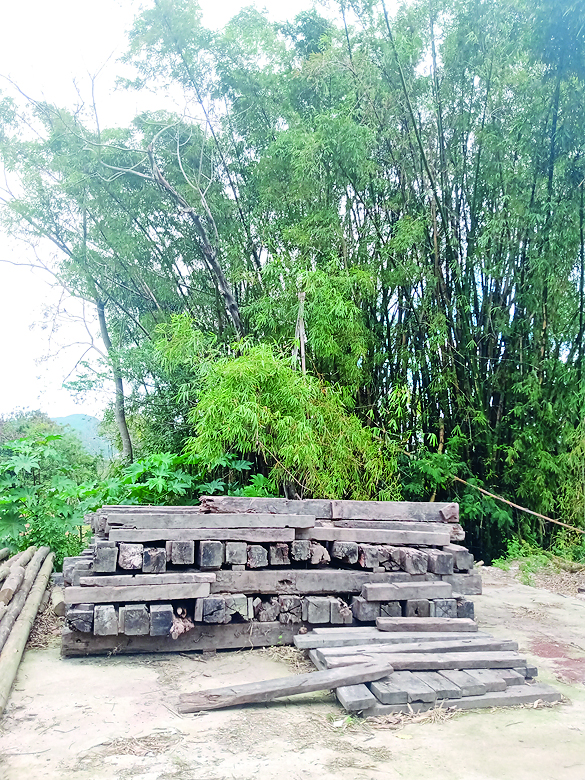 Madeiras que estavam na ponte Herc&iacute;lio Luz ter&atilde;o novo uso no Parque Jardim Bot&acirc;nico de Florian&oacute;polis – Foto: Fabio Gadotti/ND