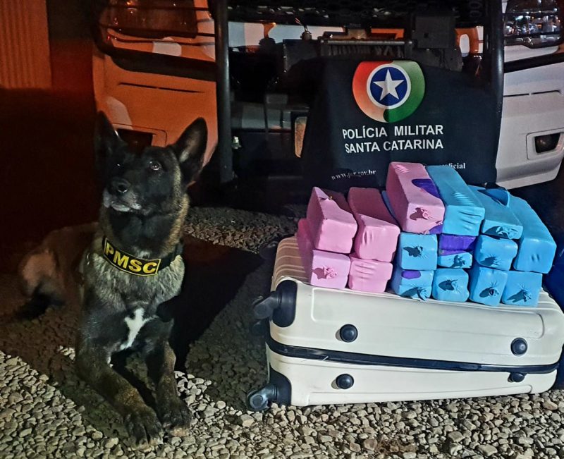 A suspeita escondeu a droga na bagagem. – Foto: Pol&iacute;cia Militar/ND