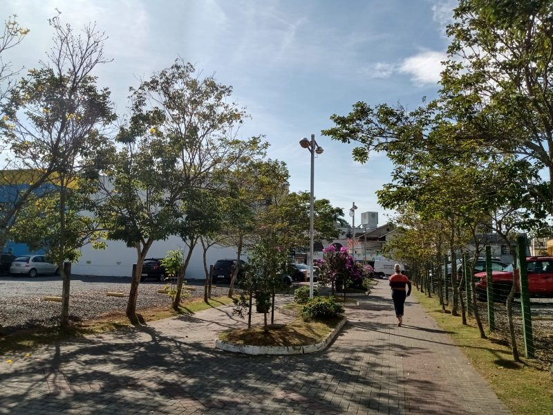 Confira a previs&atilde;o do tempo para este domingo (31). – Foto: Raquel Bauer/ND