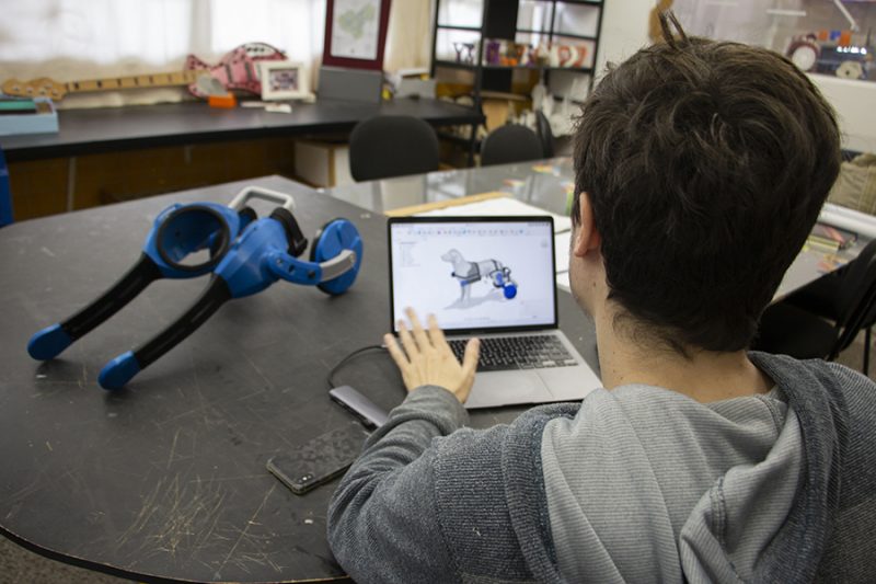 Principal diferencial s&atilde;o as barras laterais que permitem movimento natural do cachorro – Foto: Rafaella Whitaker/Agecom/UFSC/Reprodu&ccedil;&atilde;o/ND