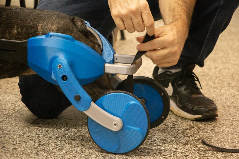 O projeto agora passar&aacute; por novos testes – Foto: Rafaella Whitaker/Agecom/UFSC/Reprodu&ccedil;&atilde;o/ND