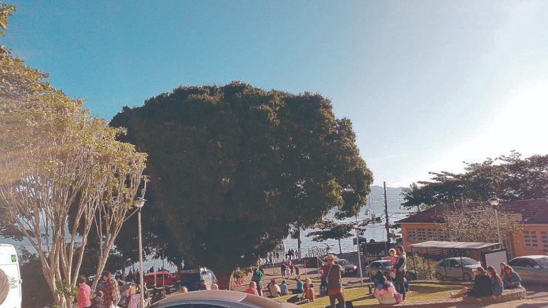 Centrinho de Santo Ant&ocirc;nio de Lisboa tamb&eacute;m teve programa&ccedil;&atilde;o neste domingo (31) – Foto: Divulga&ccedil;&atilde;o/ND