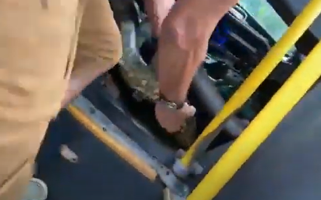 Momento da retirada da sucuri de ônibus