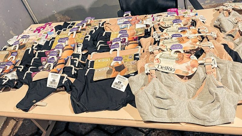 Mulher foi flagrada tentando furtar mais de 100 pe&ccedil;as de calcinhas e suti&atilde;s – Foto: Guarda Municipal/Divulga&ccedil;&atilde;o