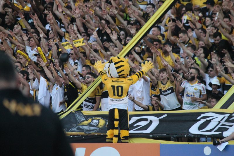 Torcida do Crici&uacute;ma, em duelo contra o Vasco: maior p&uacute;blico de SC – 19.219 torcedores – Foto: Celso da Luz/Assessoria do Crici&uacute;ma/Divulga&ccedil;&atilde;o/ND