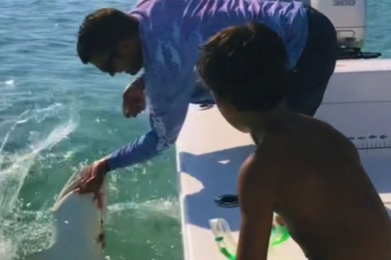 Homem tentava segurar o tubar&atilde;o quando foi surpreendido pelo animal – Foto: Reprodu&ccedil;&atilde;o/Internet