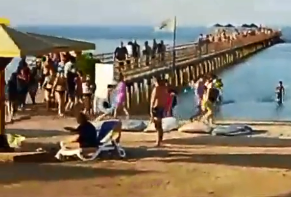 Momentos antes da trag&eacute;dia ocorrer, v&aacute;rias pessoas observaram a situa&ccedil;&atilde;o na praia local &mdash; Foto: Internet/Reprodu&ccedil;&atilde;o/ND