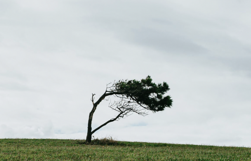 As rajadas podem chegar a 90 km/h &mdash; Foto: Pexels/Reprodu&ccedil;&atilde;o/ND