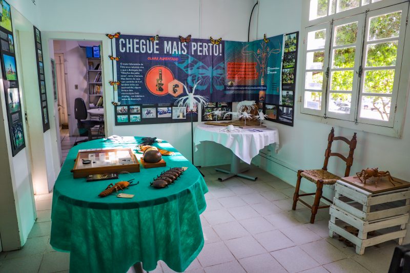 Al&eacute;m das duas exposi&ccedil;&otilde;es, Em mar&ccedil;o deste ano foi lan&ccedil;ada a segunda edi&ccedil;&atilde;o do e-book &ldquo;Fritz M&uuml;ller 200 anos: legado que ultrapassa fronteiras.&rdquo; – Foto: Teresa Vieira/ND