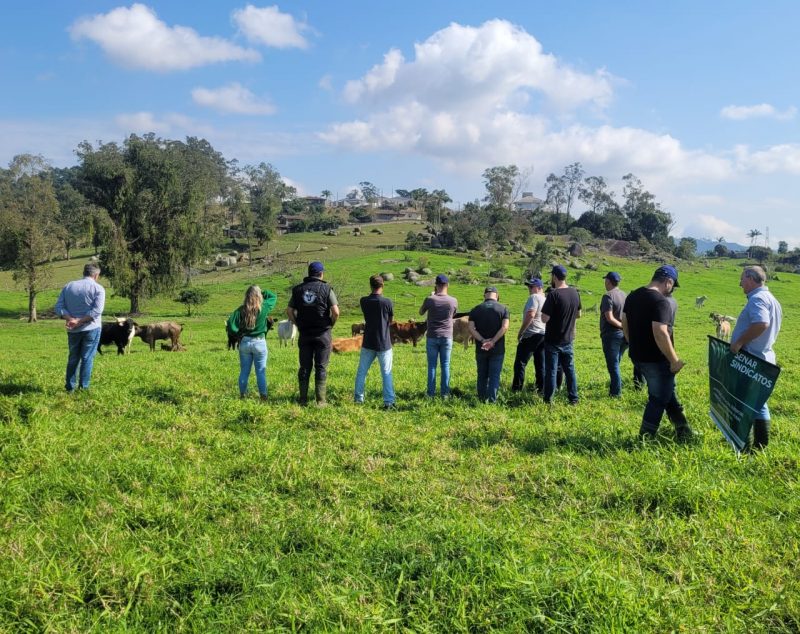 Programa&ccedil;&atilde;o reuniu produtores que participam da ATeG Pecu&aacute;ria de Corte – Foto: Senar/ND