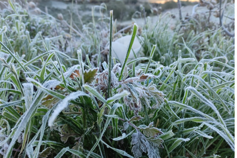 Nesta segunda-feira (29), em SC 29 munic&iacute;pios registraram temperaturas negativas – Foto: Wagner Urbano