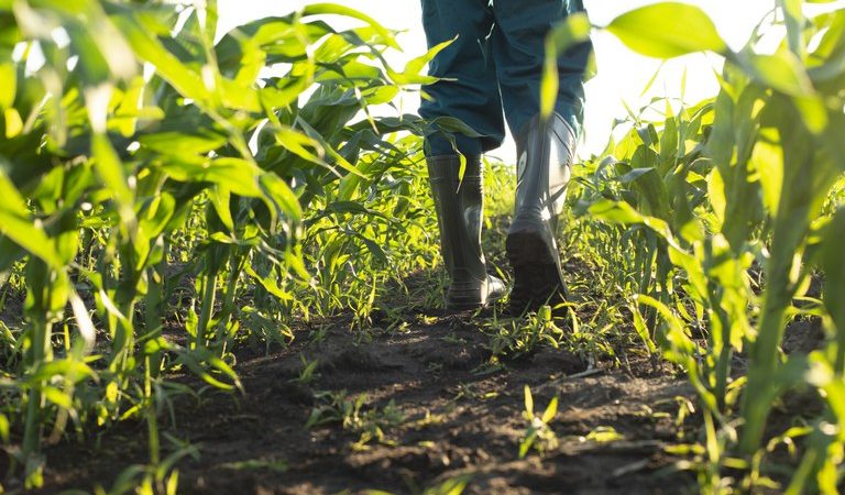 Programa Terra Brasil libera mais de R$ 58 milhões para trabalhadores rurais em 2022