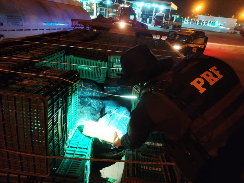 Mais de 1 tonelada de maconha foi encontrada em caminh&atilde;o com mais de 50 anos – Foto: PRF/Divulga&ccedil;&atilde;o