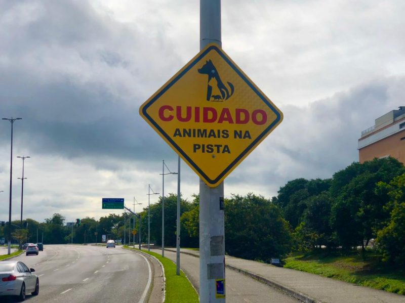 Placa avisa sobre travessia de animais na pista pr&oacute;ximo ao shopping Villa Romana – Foto: Ada Bahl/ND