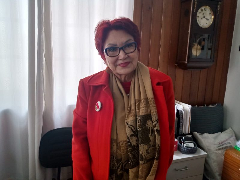 Historiadora e Diretora de Patrim&ocirc;nio Hist&oacute;rico Museol&oacute;gico de Blumenau, Sueli Petry – Foto: Arquivo/Raquel Bauer/ND