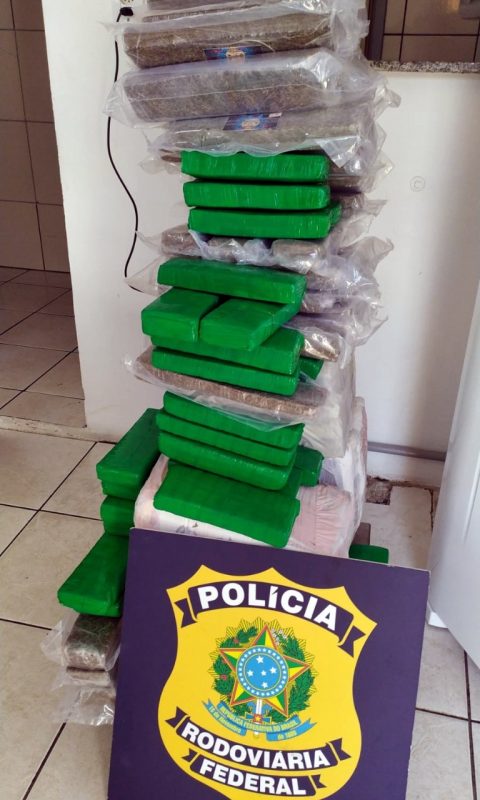 The drugs were seized and sent to the police station - Photo: PRF/Disclosure