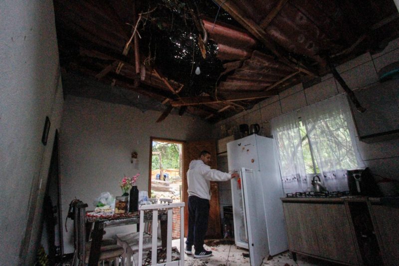 Morador desalojado em Florianópolis após queda de árvore