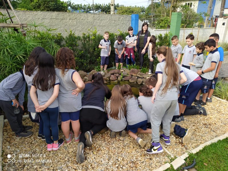 A turma do 4° Ano do Ensino Fundamental alimenta os peixes dos lagos da escola