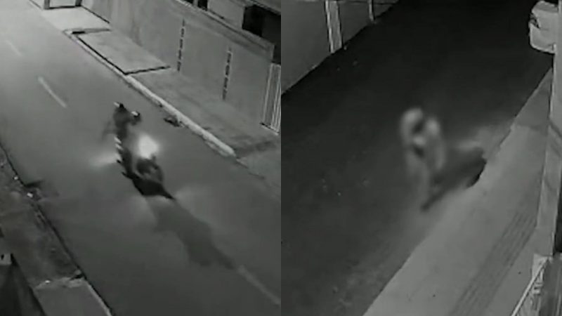 Atirador desconhecido dispara contra conveni&ecirc;ncia e bar no bairro Cordeiros – Foto: C&acirc;meras de seguran&ccedil;a/Reprodu&ccedil;&atilde;o/ND