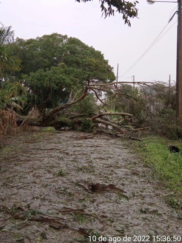 Foto: Defesa Civil de Barra do Sul/Divulga&ccedil;&atilde;o ND