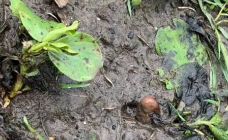 O incidente ocorreu em janeiro do ano passado. “Estava com muito medo”, disse Katie&nbsp;– Foto: Internet/Divulga&ccedil;&atilde;o/ND