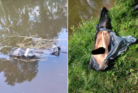 Quando policiais foram chamados para investigar um suposto corpo em um saco preto. -Foto: Internet/Divulga&ccedil;&atilde;o/ND