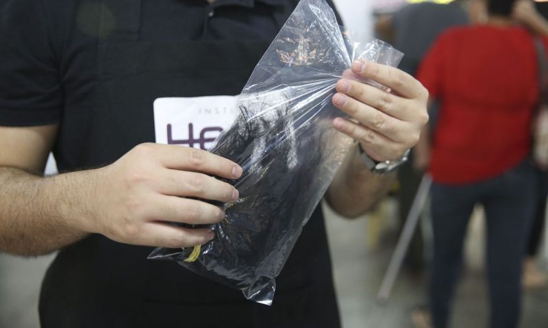 Adolescente doa cabelo para pacientes em tratamento de c&acirc;ncer – Foto: Jos&eacute; Cruz/Ag&ecirc;ncia Brasil/ND