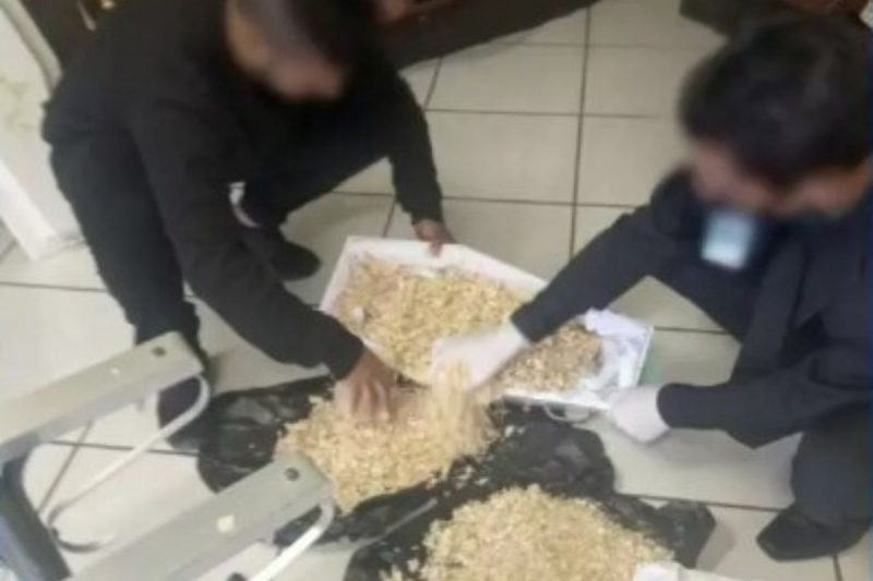 Em vez de levar a beb&ecirc;, caix&atilde;o estava cheio de serragem – Foto: Reprodu&ccedil;&atilde;o/RicMais