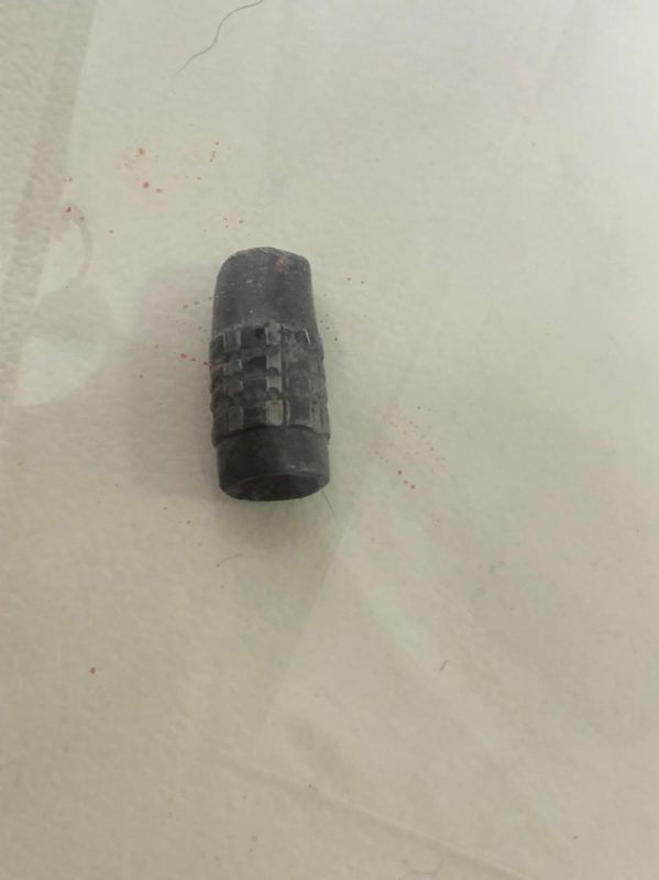 C&atilde;o morreu ap&oacute;s ser baleado em Gaspar, no Vale do Itaja&iacute;. – Foto: Divulga&ccedil;&atilde;o/ND