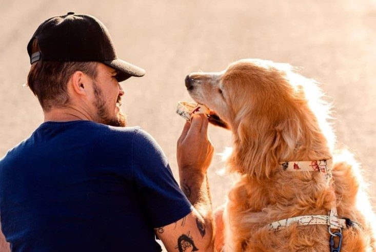 Jesse e Shurastey – Foto: Reprodu&ccedil;&atilde;o/Internet/ND