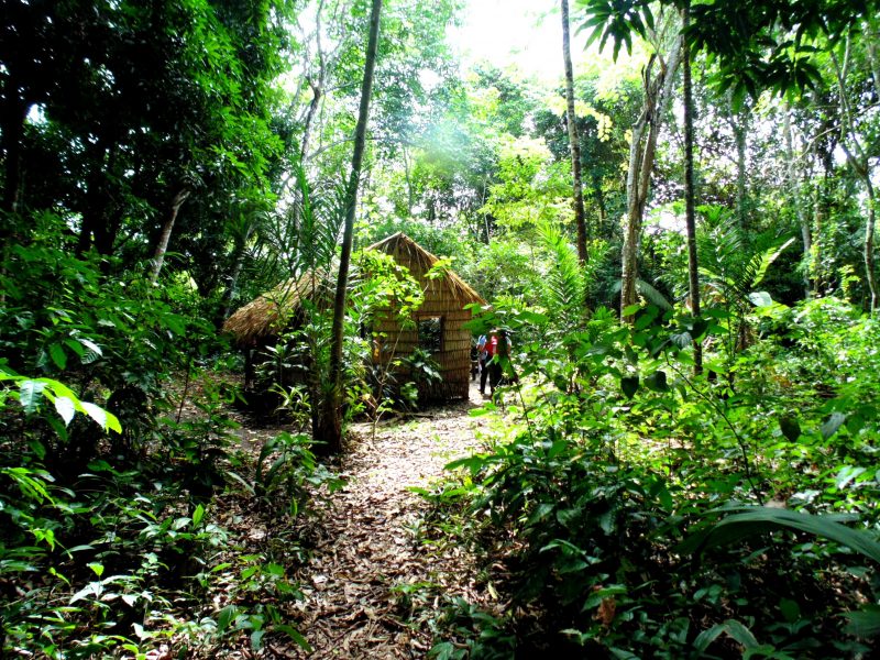 Casa do Seringueiro, no Rio Tapaj&oacute;s – Foto: Carolina Levis/Divulga&ccedil;&atilde;o/UFSC/ND
