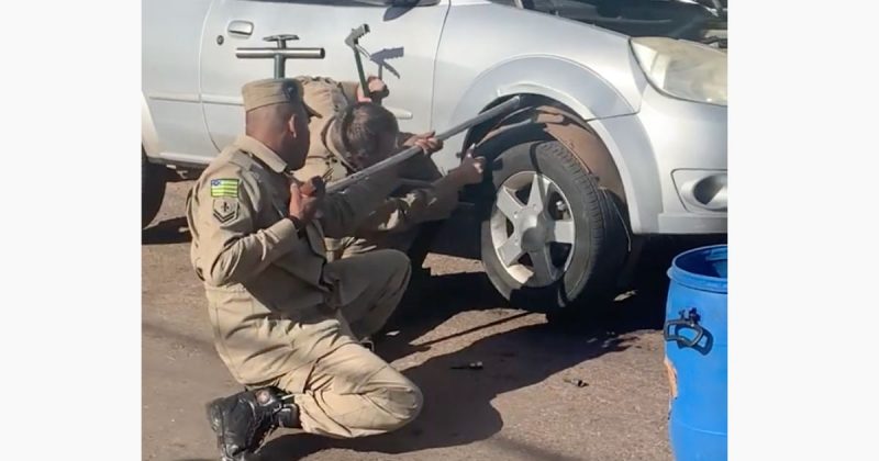 Cobra deu trabalho aos agentes do Corpo de Bombeiros, que foram acionados – Foto: Reprodu&ccedil;&atilde;o