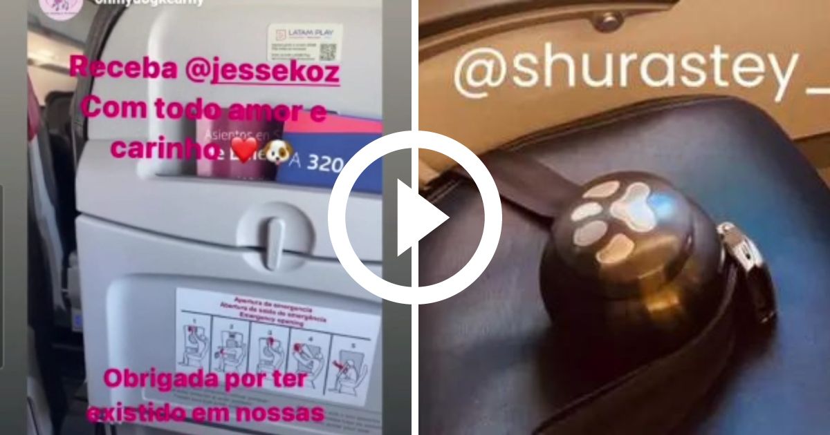 Vídeo: novas imagens trazem detalhes do voo de retorno das cinzas de shurastey ao brasil