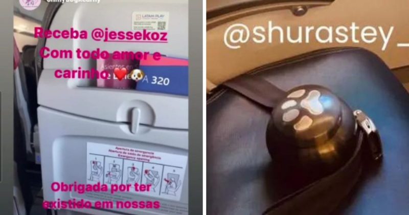 Comiss&aacute;ria avisou aos tripulantes que cinzas de Shurastey estavam a bordo no voo de retorno para casa – Foto: Reprodu&ccedil;&atilde;o/Internet