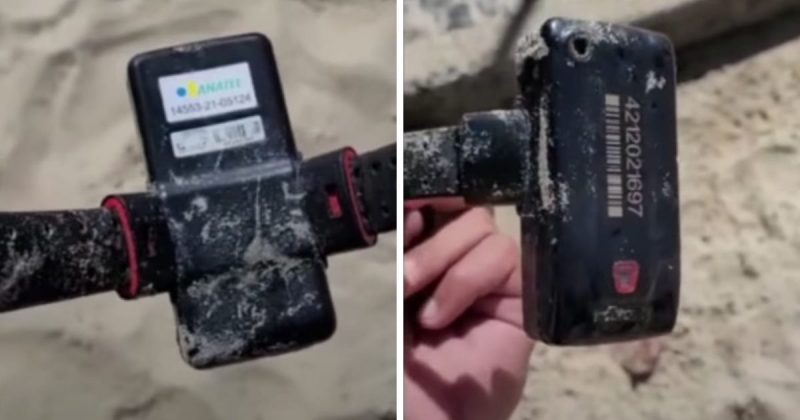 Tornozeleira eletr&ocirc;nica com lacre rompido foi encontrada por banhista na areia da praia de Balne&aacute;rio Cambori&uacute; – Foto: Reprodu&ccedil;&atilde;o/Internet/Carlos Magagnin
