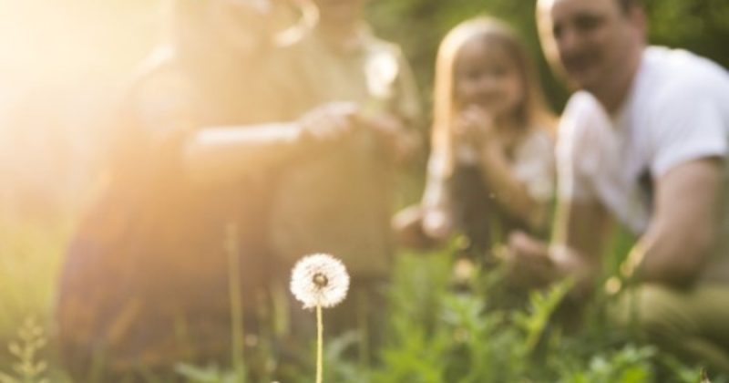 Pais e av&oacute;s ao mesmo tempo: casal quer adotar adolescente que tem filha beb&ecirc; em SC – Foto: Pixabay/Divulga&ccedil;&atilde;o/ND