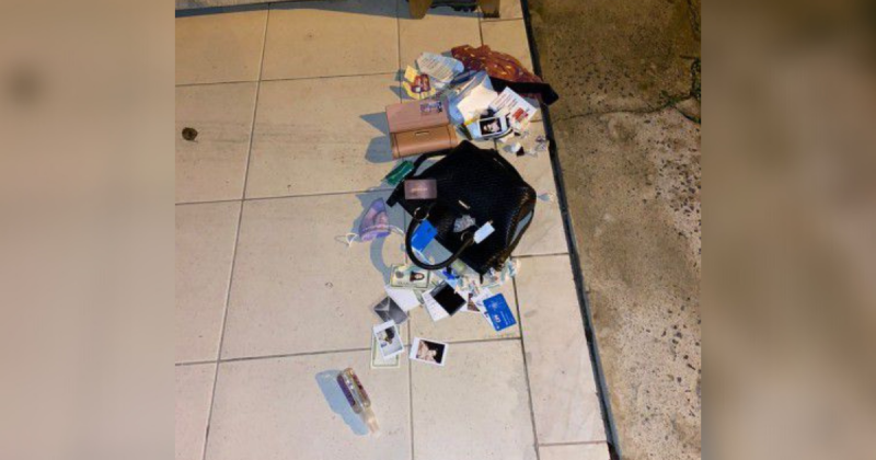 Ladr&atilde;o invade casa em SC e leva placenta congelada – Foto: Internet/Reprodu&ccedil;&atilde;o/ND