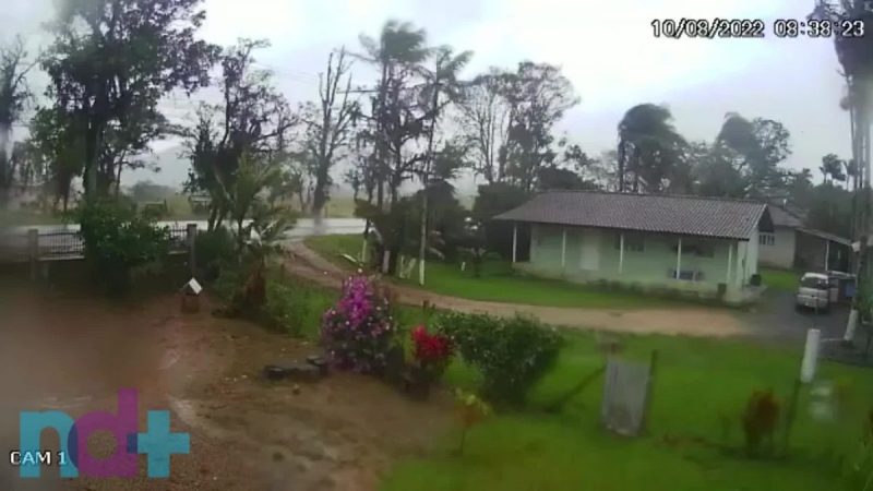 Rajada de vento derruba &aacute;rvore em Ilhota – Foto: Reprodu&ccedil;&atilde;o/ND