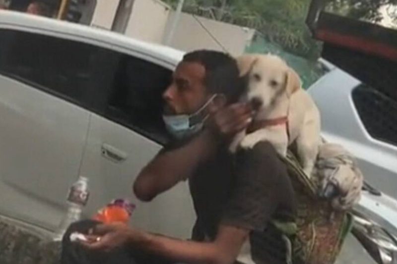 Amizade emocionou a internet e cena viralizou nas redes sociais – Foto: Reprodu&ccedil;&atilde;o/TikTok