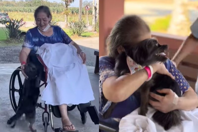 Reencontro foi gravado e divulgado nas redes sociais na quinta-feira (18) – Foto: Reprodu&ccedil;&atilde;o/Instagram