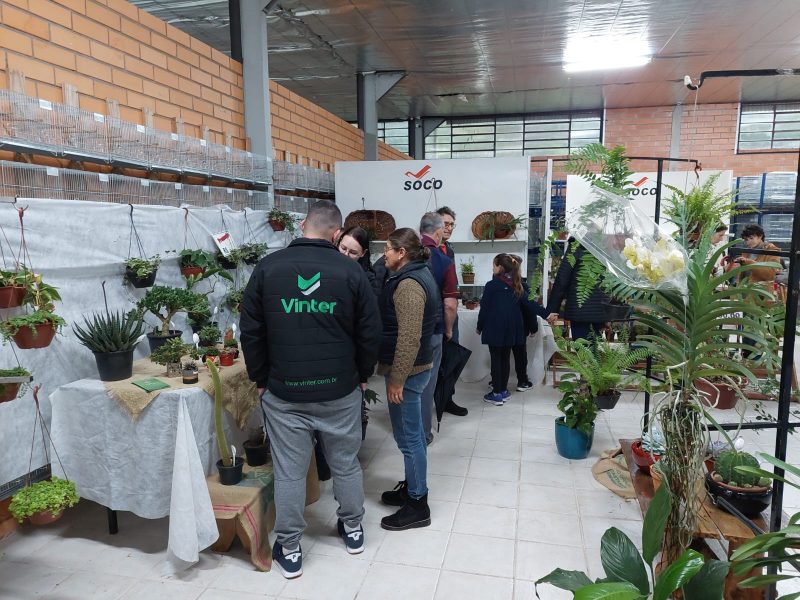 Flores tamb&eacute;m est&atilde;o em exposi&ccedil;&atilde;o. – Foto: Divulga&ccedil;&atilde;o/ND