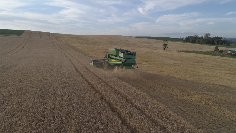 Em todos os seus 50 anos de hist&oacute;ria, a miss&atilde;o da Cravil &eacute; promover o desenvolvimento econ&ocirc;mico e social das fam&iacute;lias associadas – Foto: Cravil