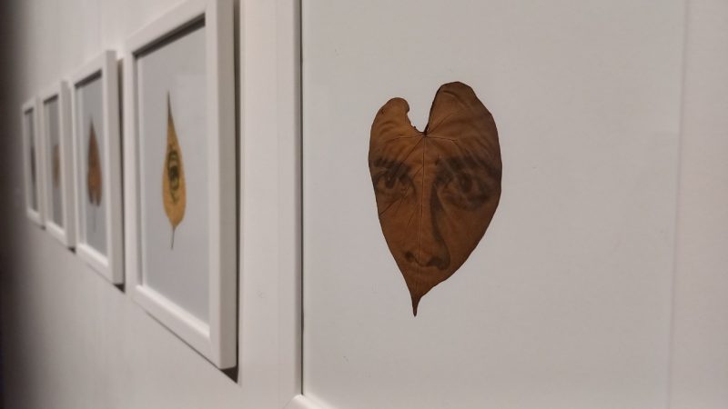 O artista catarinense Audrian Cassanelli apresenta a exposição O Filho da Soja, na Fundação Cultural BADESC, em Florianópolis