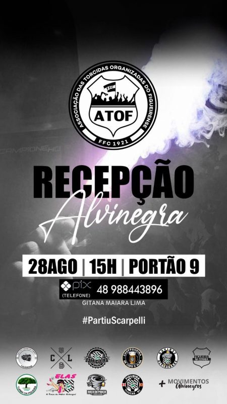 Campanha visa arrecadar fundos para apoiar o time do Figueirense – Foto: ATOF/diculga&ccedil;&atilde;o