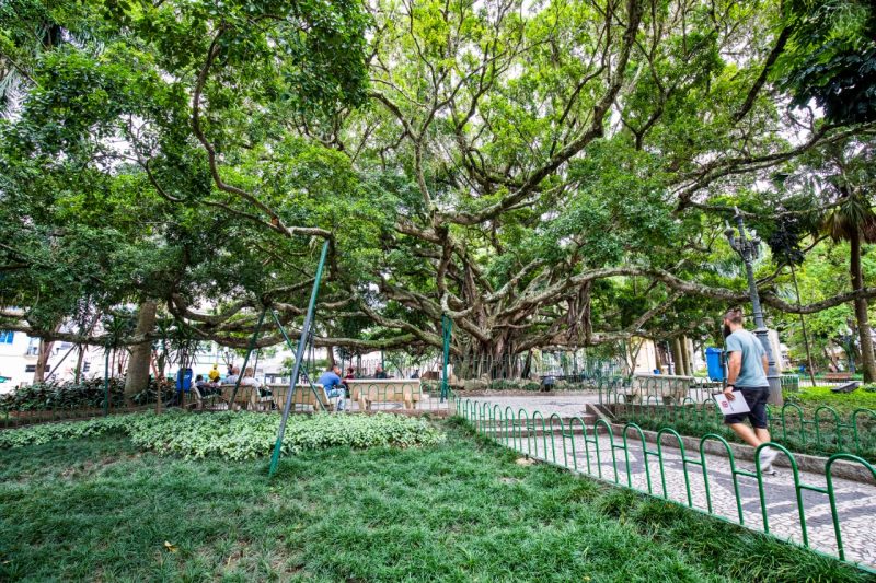 Para realizar a manuten&ccedil;&atilde;o deste patrim&ocirc;nio municipal, a Prefeitura da Capital realizar&aacute; uma revitaliza&ccedil;&atilde;o completa – Foto: Divulga&ccedil;&atilde;o