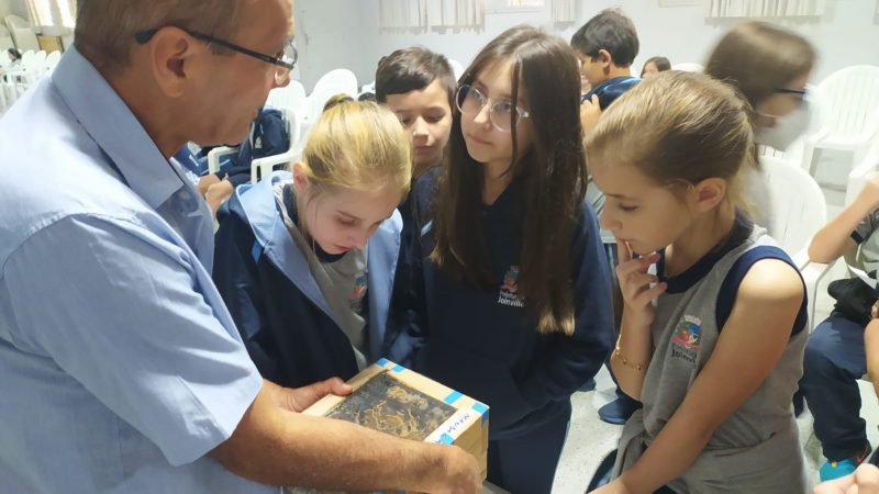 alunos conhecem com é um meliponário, criação de abelhas sem ferrão 