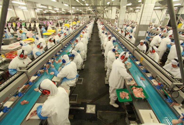 A for&ccedil;a do agroneg&oacute;cio merece aten&ccedil;&atilde;o dos candidatos – Foto: Divulga&ccedil;&atilde;o