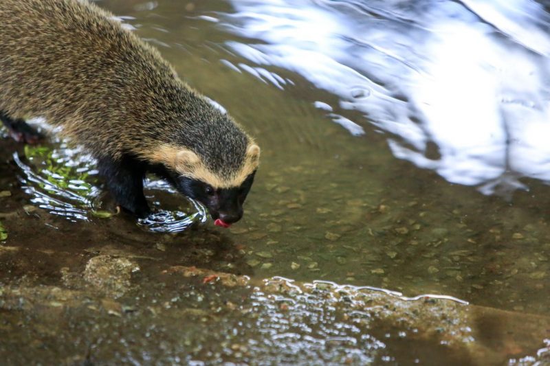 Foto: Secom/Prefeitura de Joinville/Divulga&ccedil;&atilde;o ND