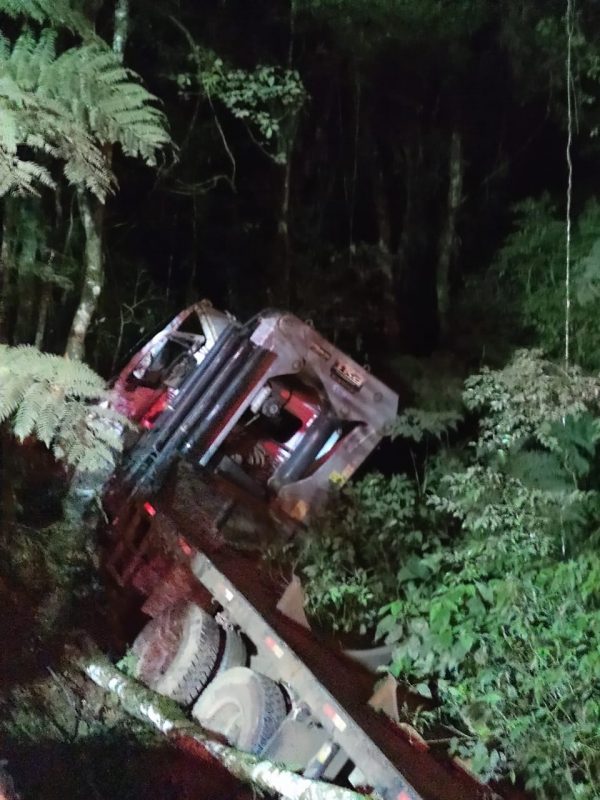 caminh&atilde;o foi parar no meio das &aacute;rvores – Foto: Divulga&ccedil;&atilde;o/Corpo de Bombeiros/ND